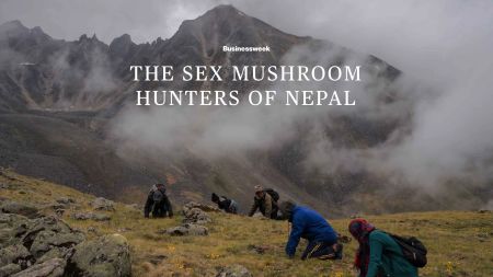 Bloomberg’s Special Report on Nepal: The Nepali Hunters in Search of the 'Sex Mushroom'