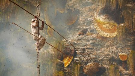 A Lens on Survival: Photographer Andrew Newey Turns His Art into Advocacy for Bees